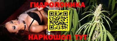 ECSTASY Гусев