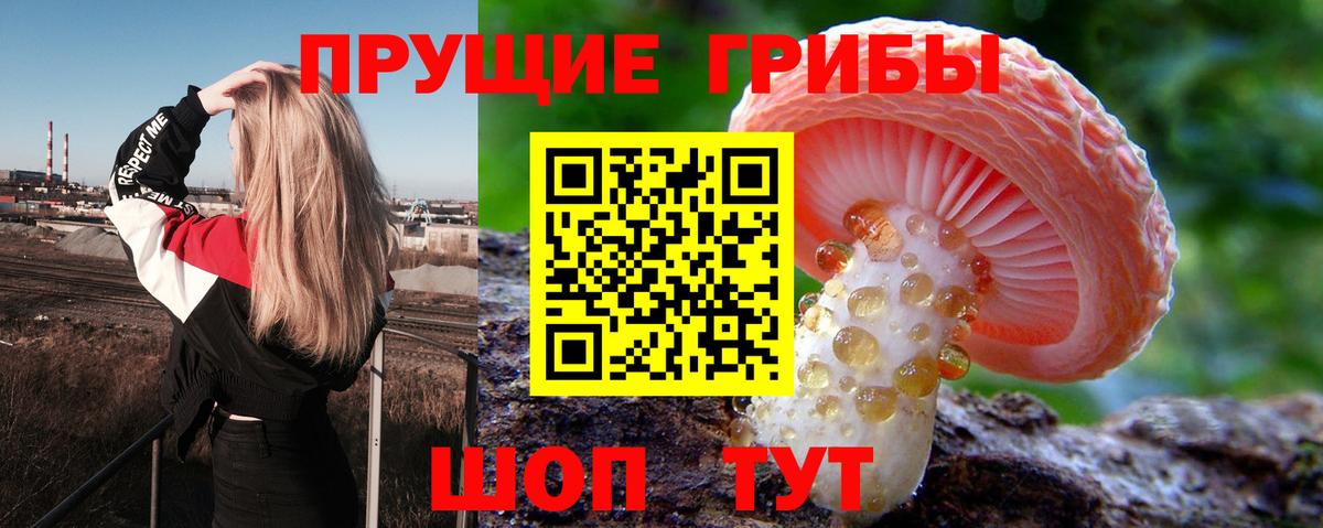 Галлюциногенные грибы мицелий  Вход с VPN  Минеральные Воды  Псилоцибиновые грибы MAGIC MUSHROOMS 