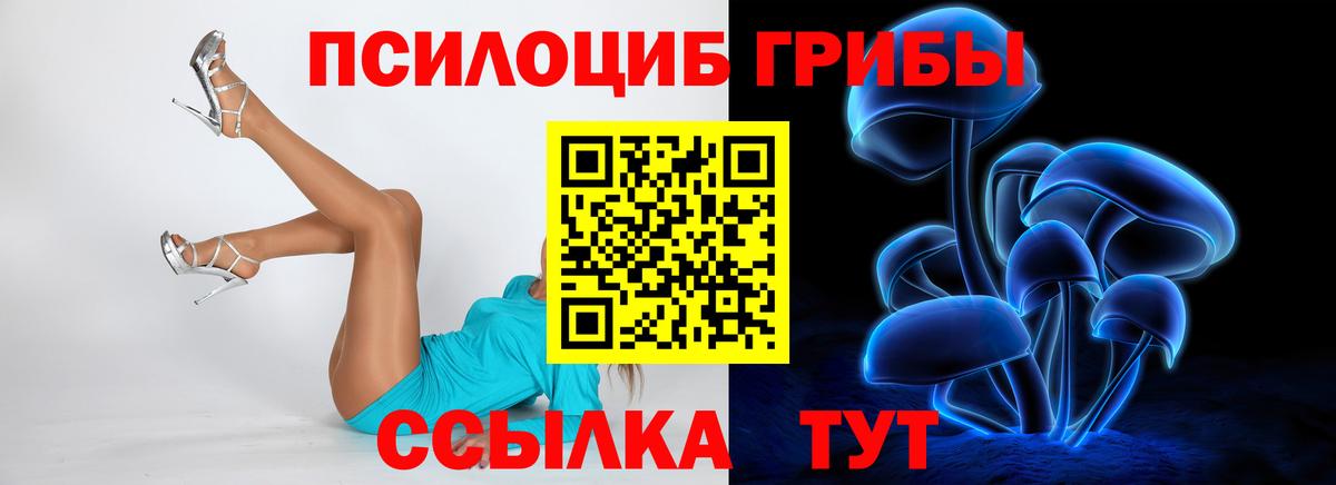 Галлюциногенные грибы Psilocybe Минеральные Воды